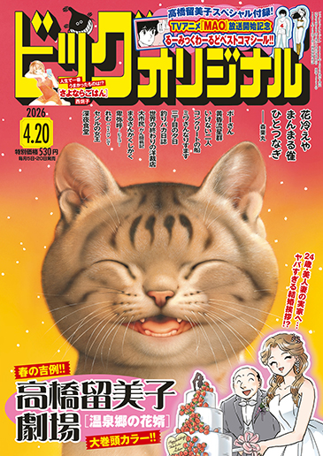 ビッグオリジナル 第8号