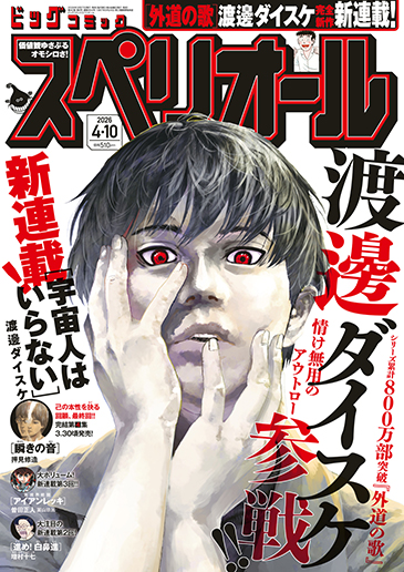 ビッグスペリオール 第8号