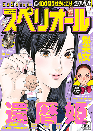 ビッグスペリオール 第12号