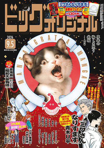 ビッグオリジナル 第17号