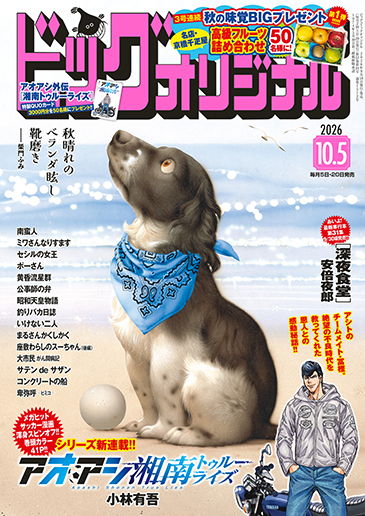 ビッグオリジナル 第19号