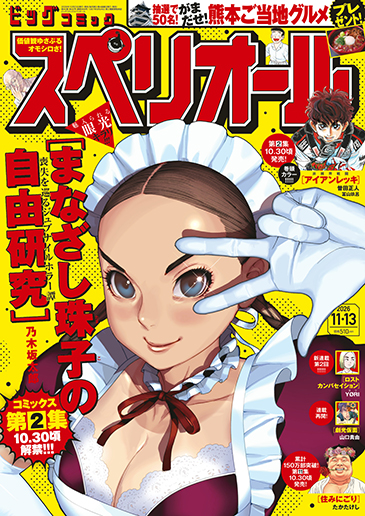 ビッグスペリオール 第22号