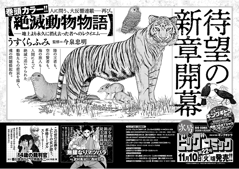 ビッグコミック 次号予告