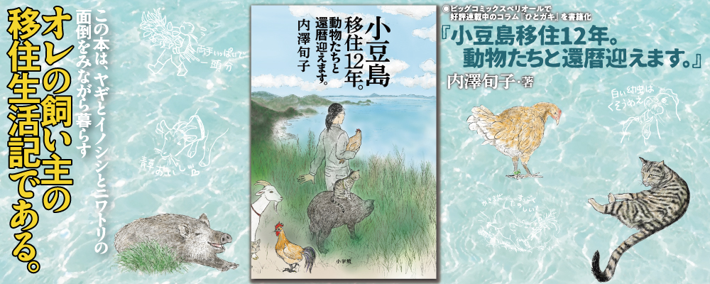小豆島移住12年。動物たちと還暦迎えます。