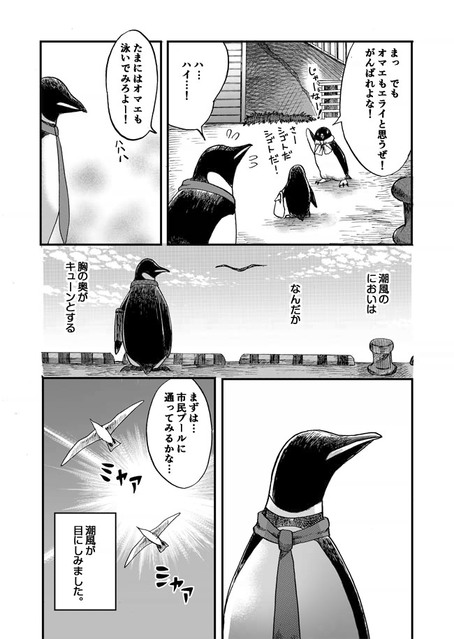 penguinbiyori-08-05.jpg